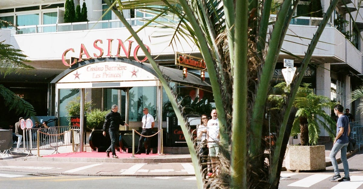 Эксклюзивные игры Casino-X для состоятельных эко-геймеров